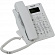 Panasonic KX-HDV100RU (White) системный IP телефон